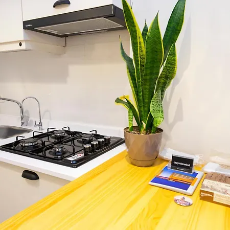 Appartamento Stylish 1 Bedroom With All, In Cihangir, Taksim *